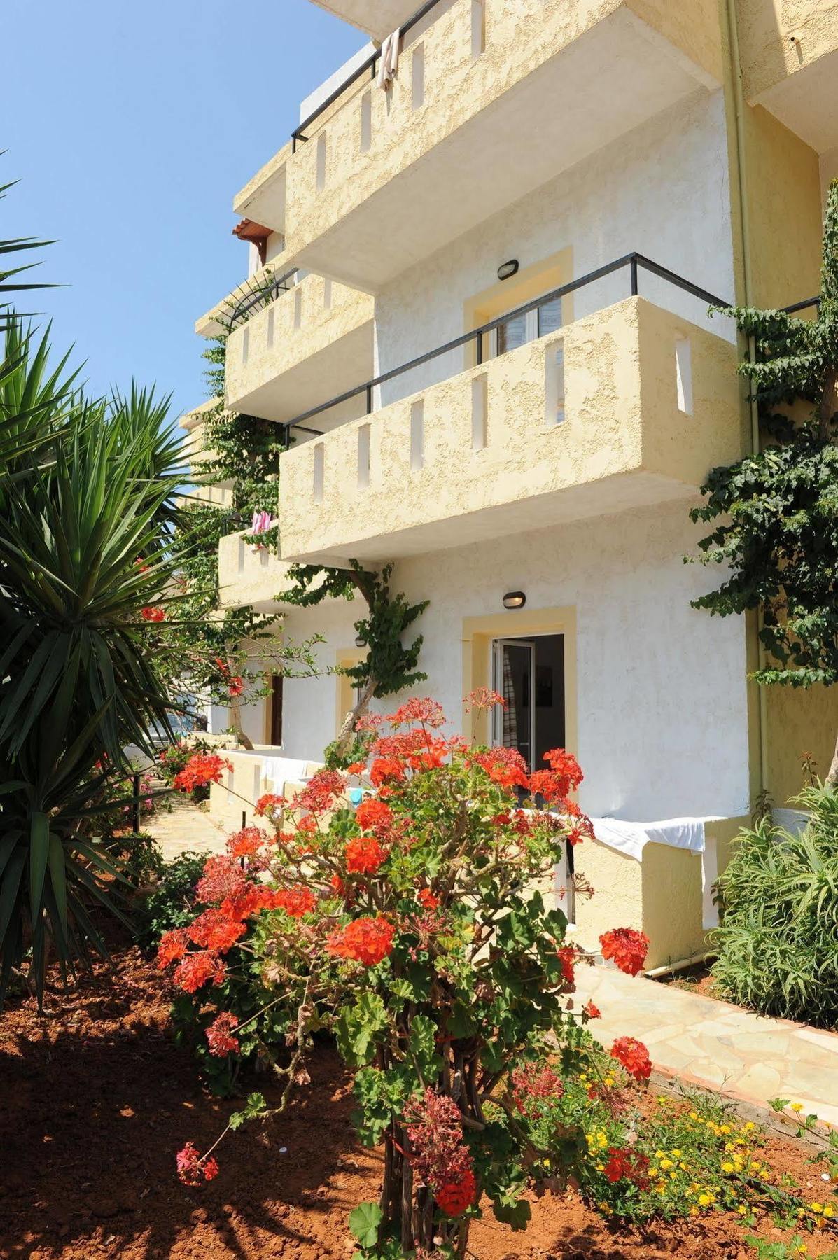 Stelios Apartments Malia  Exterior photo
