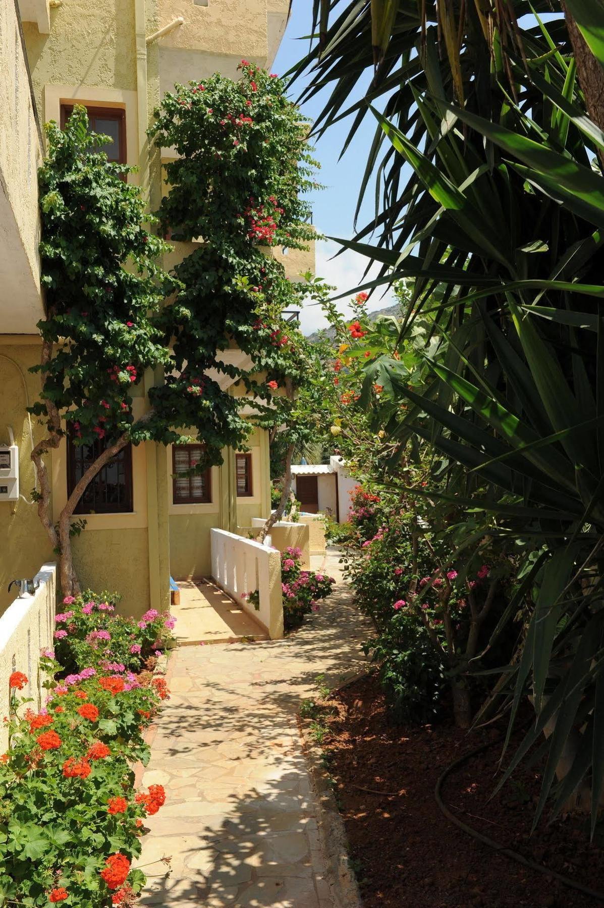 Stelios Apartments Malia  Exterior photo